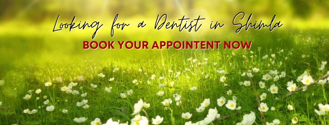 Looking for a Dentist in Shimla - Book Your Appointment Now